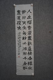 2024年杨帆书法《人生得意须尽欢》