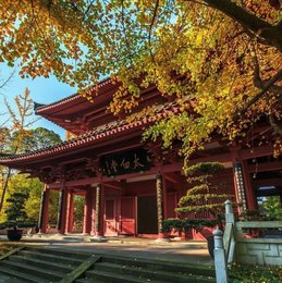 图说2025丨李白纪念馆年度工作回顾