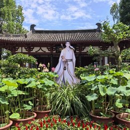 “荷花娇欲语”——2026李白诗意荷花展